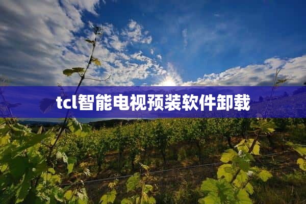 tcl智能电视预装软件卸载