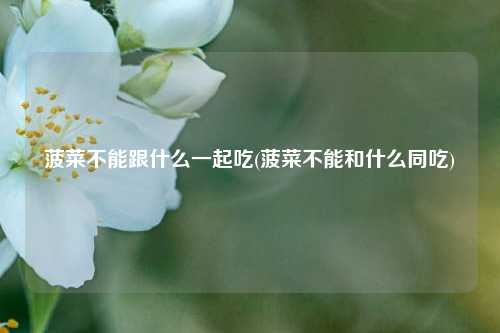 菠菜不能跟什么一起吃