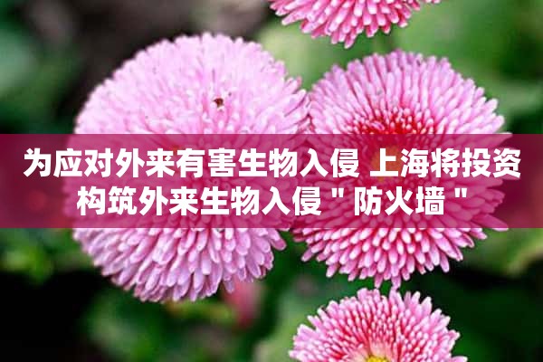 为应对外来有害生物入侵 上海将投资构筑外来生物入侵＂防火墙＂