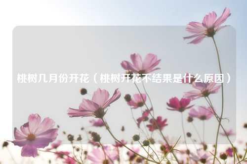 桃树几月份开花（桃树开花不结果是什么原因）