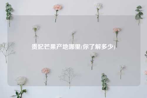 贵妃芒果产地哪里