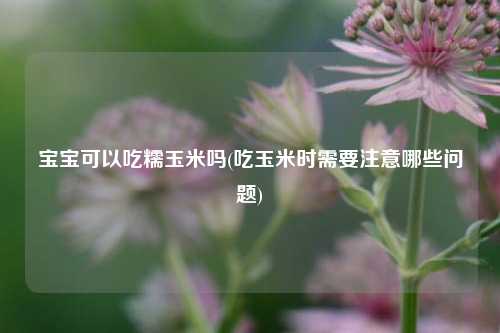 宝宝可以吃糯玉米吗(吃玉米时需要注意哪些问题) 种植业