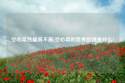 空心菜热量高不高