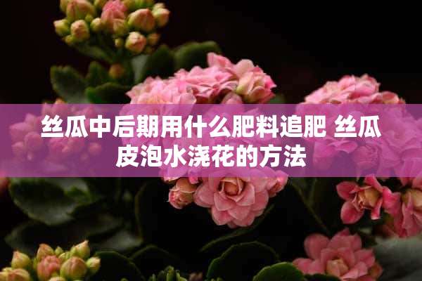 丝瓜中后期用什么肥料追肥 丝瓜皮泡水浇花的方法