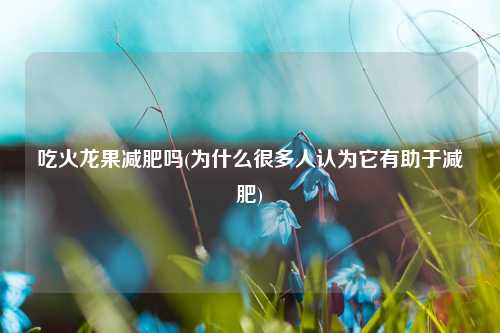 吃火龙果减肥吗(为什么很多人认为它有助于减肥) 种植业