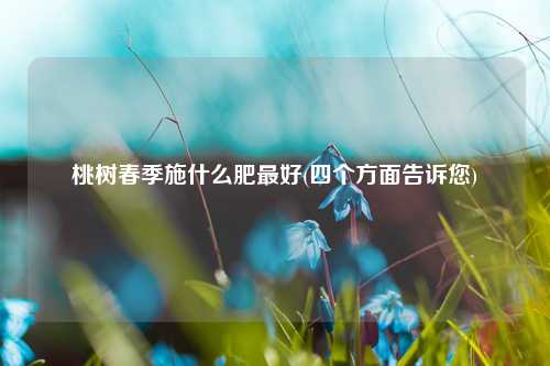 桃树春季施什么肥最好(四个方面告诉您) 种植业