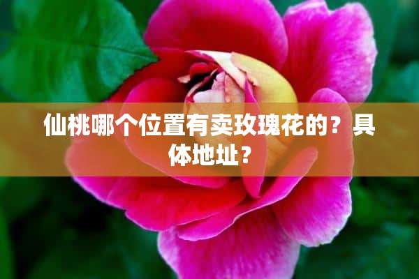 仙桃哪个位置有卖玫瑰花的？具体地址？