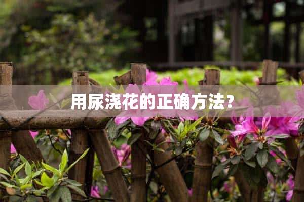 用尿浇花的正确方法？