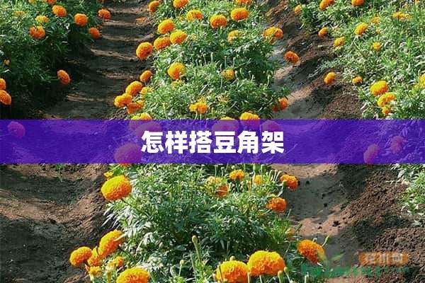 怎样搭豆角架