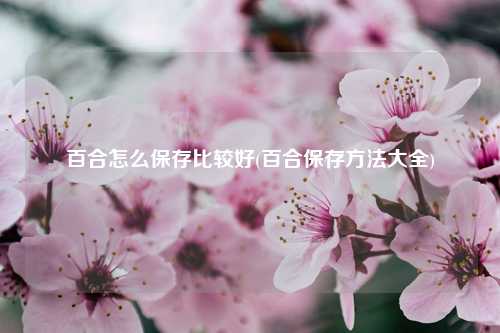 百合怎么保存比较好(百合保存方法大全) 种植业