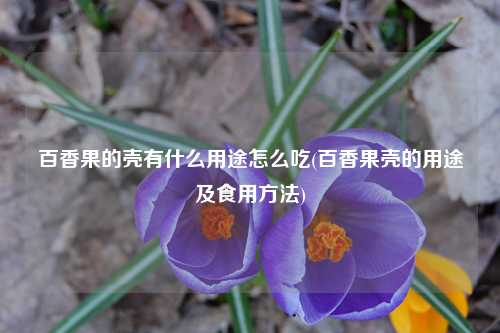 百香果的壳有什么用途怎么吃