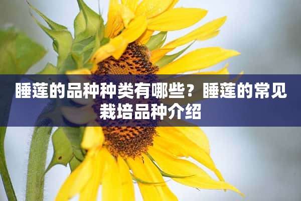 睡莲的品种种类有哪些？睡莲的常见栽培品种介绍