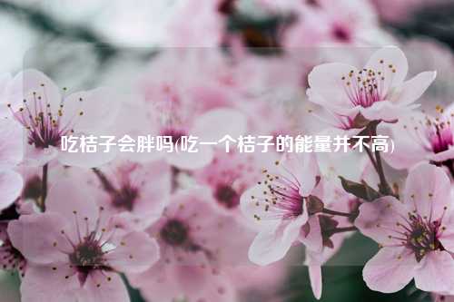 吃桔子会胖吗(吃一个桔子的能量并不高) 种植业