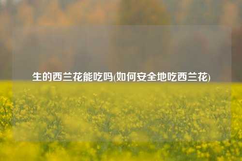 生的西兰花能吃吗(如何安全地吃西兰花) 种植业