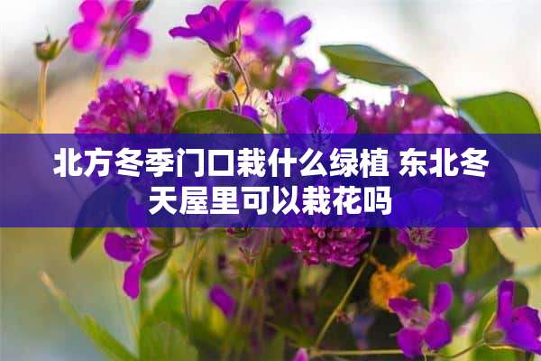 北方冬季门口栽什么绿植 东北冬天屋里可以栽花吗