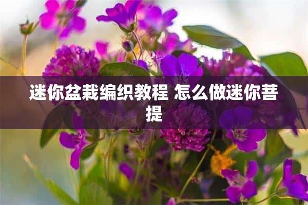 迷你盆栽编织教程 怎么做迷你菩提