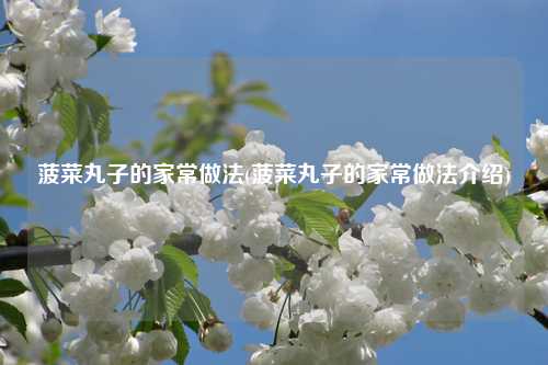 菠菜丸子的家常做法