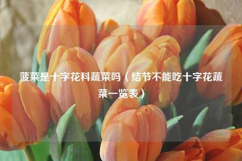 菠菜是十字花科蔬菜吗（结节不能吃十字花蔬菜一览表）