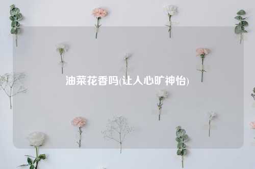 油菜花香吗