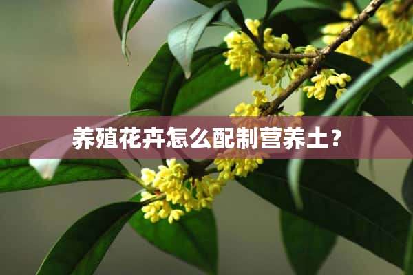 养殖花卉怎么配制营养土？