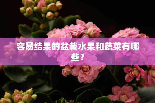 容易结果的盆栽水果和蔬菜有哪些？