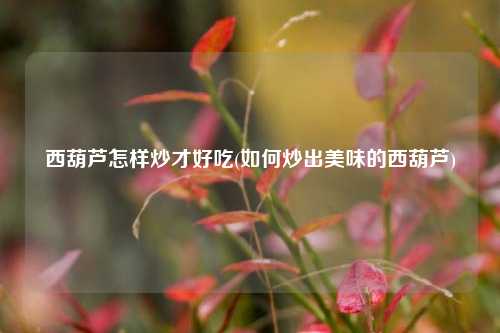 西葫芦怎样炒才好吃