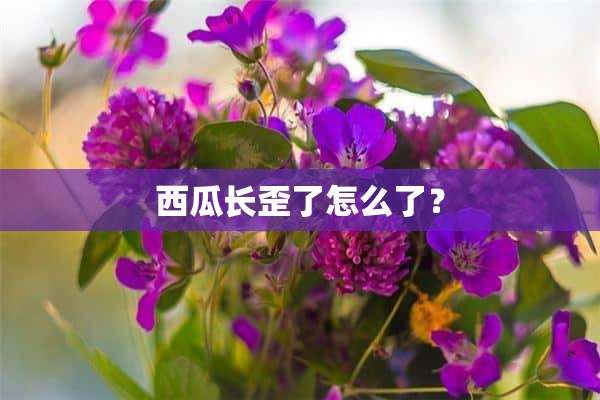 西瓜长歪了怎么了？