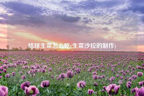 结球生菜怎么吃