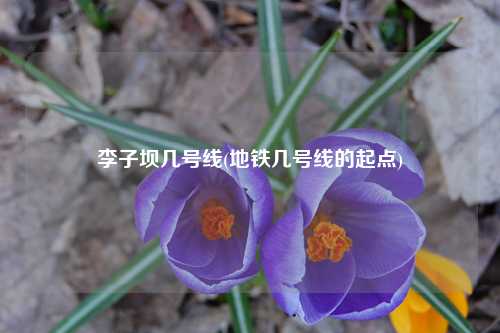 李子坝几号线(地铁几号线的起点) 种植业