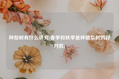 种梨树有什么讲究