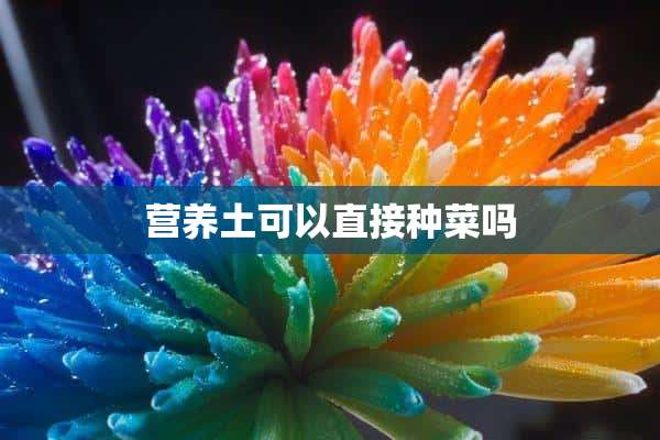 营养土可以直接种菜吗