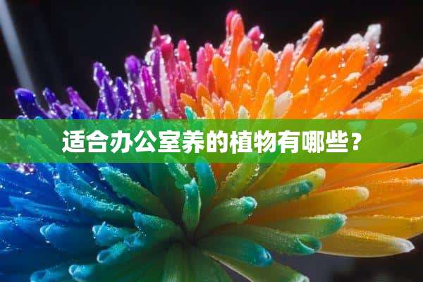 适合办公室养的植物有哪些？