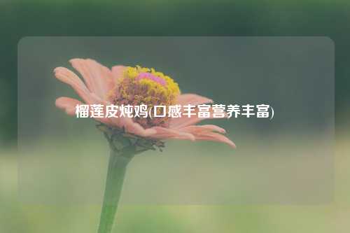 榴莲皮炖鸡(口感丰富营养丰富) 种植业