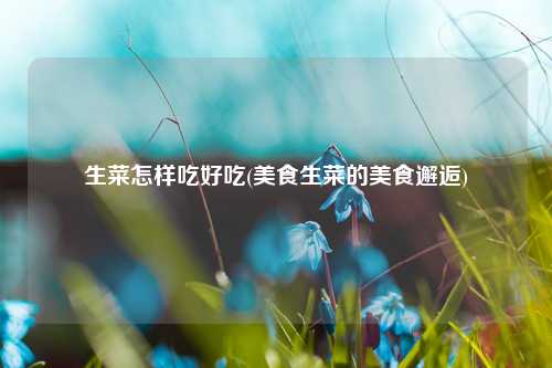 生菜怎样吃好吃