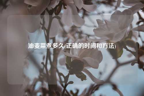 油麦菜煮多久