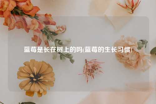 蓝莓是长在树上的吗