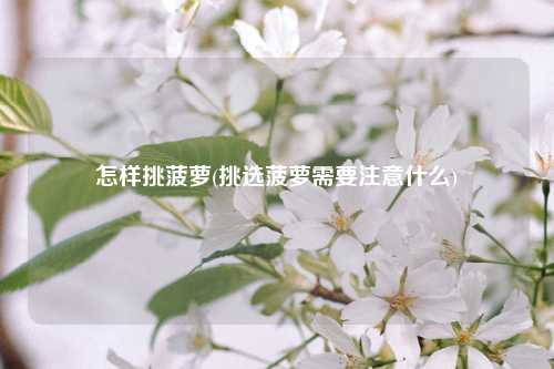 怎样挑菠萝