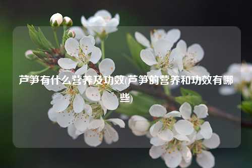 芦笋有什么营养及功效(芦笋的营养和功效有哪些) 种植业