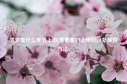 菠萝蜜什么季节上市