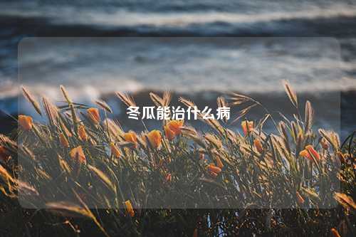 冬瓜能治什么病