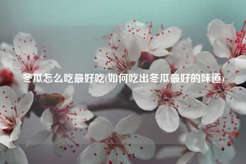 冬瓜怎么吃最好吃