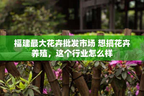 福建最大花卉批发市场 想搞花卉养殖，这个行业怎么样