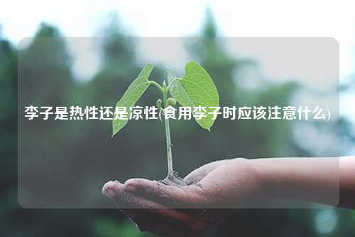 李子是热性还是凉性