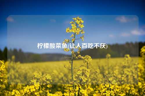 柠檬酸菜鱼(让人百吃不厌) 种植业