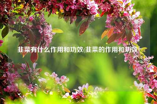 韭菜有什么作用和功效(韭菜的作用和功效) 种植业