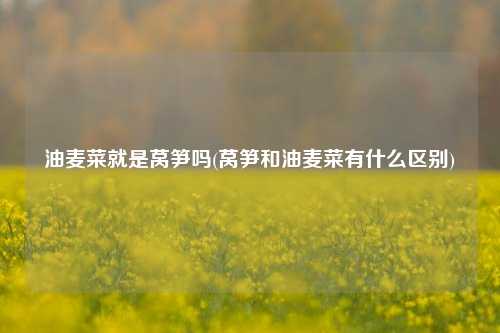 油麦菜就是莴笋吗(莴笋和油麦菜有什么区别) 种植业