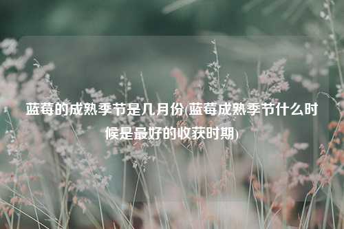 蓝莓的成熟季节是几月份