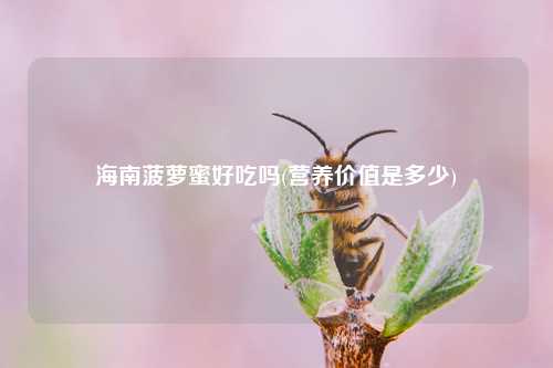 海南菠萝蜜好吃吗(营养价值是多少) 种植业