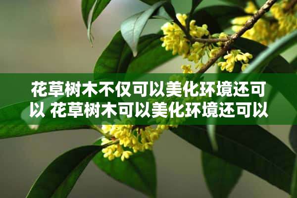 花草树木不仅可以美化环境还可以 花草树木可以美化环境还可以干什么