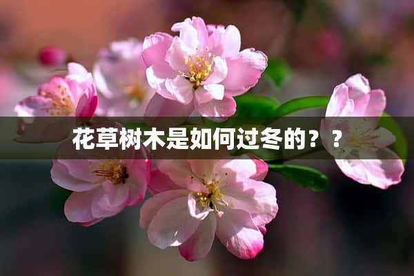 花草树木是如何过冬的？？